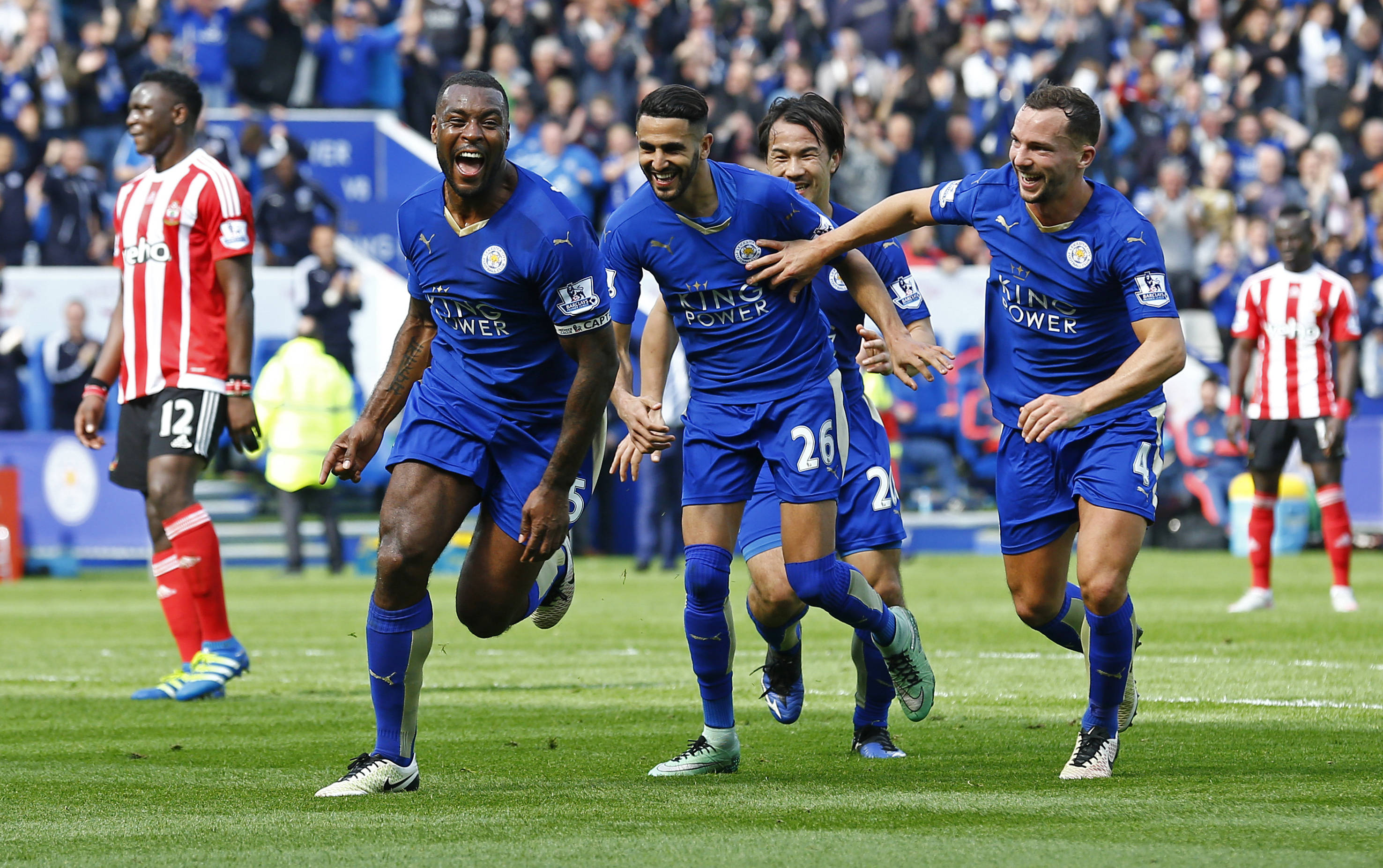 米特洛维奇 米特洛维奇