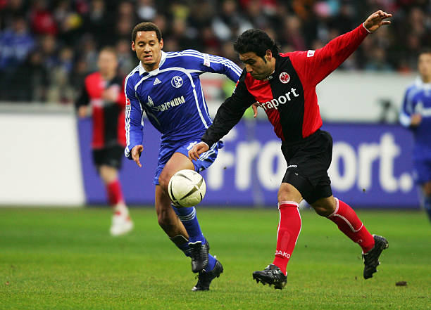 他们的出色 他们的出色